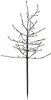 A black LED tree with no leaves, illuminated by small warm white lights. Produktbild-Vorschau