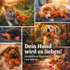 TITANEX™ Unzerstörbares Stofftier Hundespielzeug - für Produktbild-Vorschau 6