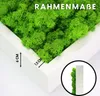 INMO Moosbild I Wandbild Mooswand mit echtem Moos (35x35) I Produktbild-Vorschau 4