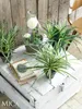 Mica Decorations Dracaena Kunstpflanze im Blumentopf Stan - Produktbild-Vorschau 5