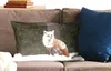 MuchoWow® Zierkissen Sofakissen Wohnzimmer Dekokissen 60x40 Produktbild-Vorschau 2