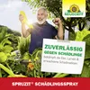 Neudorff Spruzit SchädlingsSpray 400ml anwendungsfertig, Produktbild-Vorschau 6