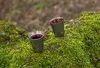 Two small metal cups filled with red liquid are placed on a mossy surface. Náhled obrázku produktu