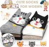 ASKSA Lustige Socken Damen Bunte Socken aus Baumwolle, Produktbild-Vorschau 2