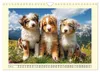Australian Shepherd. Wanderfreude auf Pfoten im Bergsommer Produktbild-Vorschau 15