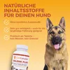 CaniComplete Gelenk Plus für Hunde – Produktbild 4 Produktbild-Vorschau