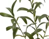 HOMLA Gałązka sztuczna BOTANIZE gałązka oliwna 77 CM Podgląd zdjęcia produktu 3