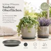 Pflanztopfuntersetzer Mira Anthrazit Ø 24cm - Frostsicher & Produktbild-Vorschau 4