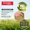 KADAX Okrasná tráva "Vico", trávy, osivo okrasných trav, Náhled obrázku produktu 2