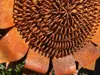 Edelrost Gartenstecker Sonnenblume Produktbild-Vorschau 4