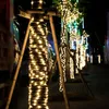 A street at night decorated with strings of warm white lights wrapped around trees. Produktbild-Vorschau