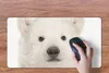 MuchoWow® Mauspad Mousepad Eisbär - Tiere - Weiß - Kinder - Produktbild-Vorschau 3
