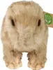 Peluche Capibara 30 Cm Ecologico Anteprima dell’immagine prodotto 8