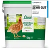 HÜHNER Land Mineral Power per polli 5 kg, graniglia Anteprima dell’immagine prodotto 1