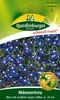 Männertreu, Blau mit weißem Auge Produktbild-Vorschau 1