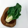 Mangold Lucullus Samen - Beta vulgaris - Mangoldsamen - Produktbild-Vorschau 3