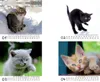 Tierzauber Lustige Katzen Tischkalender 10x10cm für 2027 Produktbild-Vorschau 2