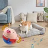 Interaktiver Haustierball Hund Spielzeug, singend & Produktbild-Vorschau 4
