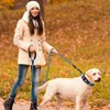 Laisse pour chien réfléchissante, laisse d'entraînement Voir les images du produit 9