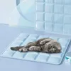 A cat is lying on a blue cooling mat. Produktbild-Vorschau