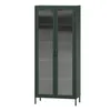 A dark green cabinet with glass doors. Anteprima dell’immagine prodotto