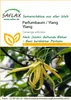 Artikelbild 1 von 'Parfumbaum / Ylang Ylang' aus der Kategorie Exotische Samen Náhľad obrázku produktu