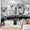 Selbstklebende Folie Fototapete - Four Puppies 245x175 cm Produktbild-Vorschau 1