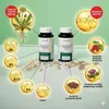 Biostile Liver Protect Premium Kapseln, 30 Tage, Produktbild-Vorschau 5