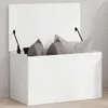 A white storage chest with its lid open, revealing two gray pillows inside. The chest is placed on a light wooden floor against a white wall. Voir les images du produit