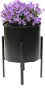 A purple flowering plant in a black metal planter on a stand. Produktbild-Vorschau