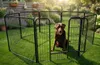 Welpenfreigehege YOUNG DOGS Größe L Welpenauslauf Produktbild-Vorschau 4
