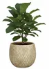 Glimmer Blumentopf / Pflanztopf Madeira - creme - Produktbild-Vorschau 1
