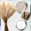Béžová umelá tráva pampasová, sada 10 ks dekorácií Náhľad obrázku produktu 4