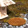 A bird feeder filled with birdseed sits on the ground next to a birdhouse, with a bird perched nearby. Produktbild-Vorschau