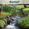 Teichpumpe 55000 L/H, 560 Watt energiesparend, 5,2m Produktbild-Vorschau 4