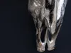 Eindrucksvoller Deko Schädel MATADOR Longhorn Skull massive Produktbild-Vorschau 6