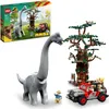 La découverte du brachiosaure Voir les images du produit 13