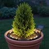 LED Solar Blumentopf Beleuchtung warm weiß - 4er Set - Deko Produktbild-Vorschau 8