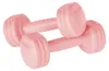 Sada bitúmenových činkových závaží Rebel ACTIVE 20 kg (2×1 Náhľad obrázku produktu 3
