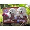 100 Teile Ravensburger Kinder Puzzle XXL Verschnaufpause Produktbild-Vorschau 2