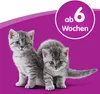 WHISKAS® Katzenmilch 200ml Produktbild-Vorschau 4