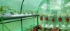 Hydroponic setup for growing plants inside a greenhouse. Produktbild-Vorschau