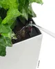 Lechuza Samozavlažovací květináč Cubico Premium 30 cm, bílá Náhled obrázku produktu 24