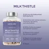 Aavalabs Mariendistel 80% Silymarin | Cholin & Artischocke Produktbild-Vorschau 5