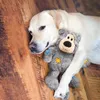 KONG Katzenspielzeug KONG Wild Knots Bears XS Produktbild-Vorschau 12
