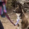 Ruffwear Hundeleine Crag EX™ Leash Alpine Dusk Produktbild-Vorschau 5