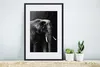 MuchoWow® Gerahmtes Poster Elefant auf schwarzem Produktbild-Vorschau 4