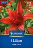 Kiepenkerl Asiatische Lilie Red Twin Lilium x Hybrida 2 Produktbild-Vorschau 1