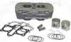 250 CCM Zylinder KIT Set KOMPLETT für BAROSSA Cheetah REX Produktbild-Vorschau 1