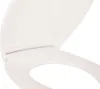 Calmwaters® Toilettendeckel mit Absenkautomatik, WC Sitz Produktbild-Vorschau 13